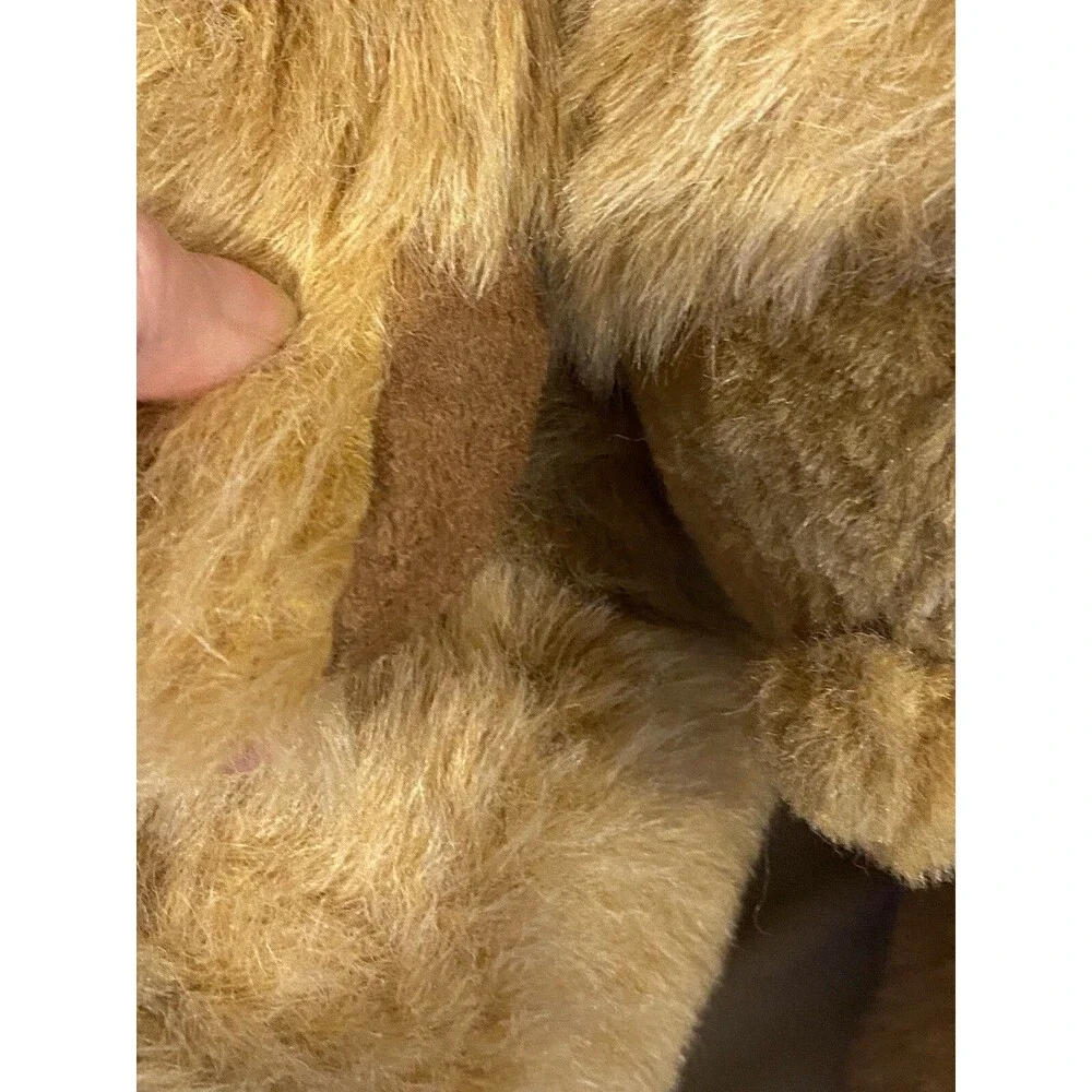 Teddy Bear 18